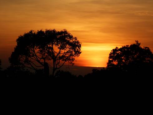 アンコール遺跡の夕日