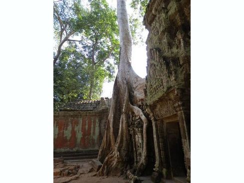 タ・プロム寺院