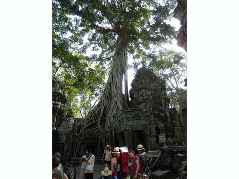 タ・プロム寺院