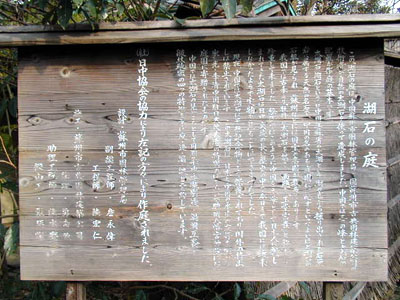 鎌倉　八幡宮牡丹園