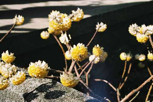 鎌倉　荏柄天神社