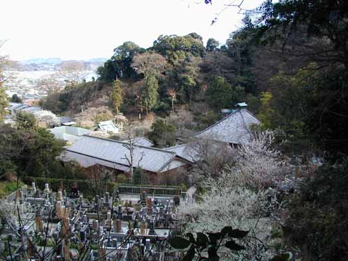 鎌倉　光則寺