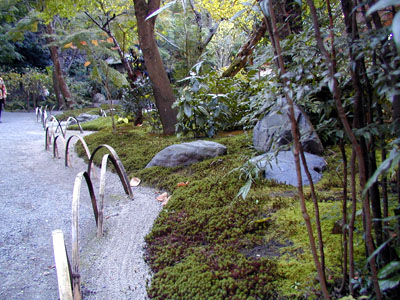鎌倉　明月院(あじさい寺)