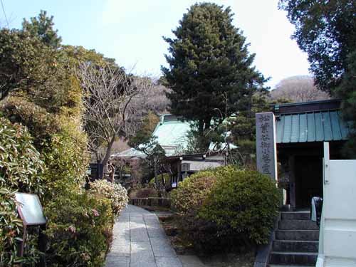 鎌倉　妙法寺(苔寺)