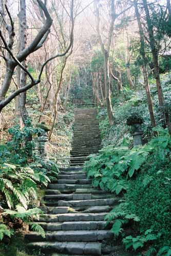 鎌倉　妙法寺(苔寺)
