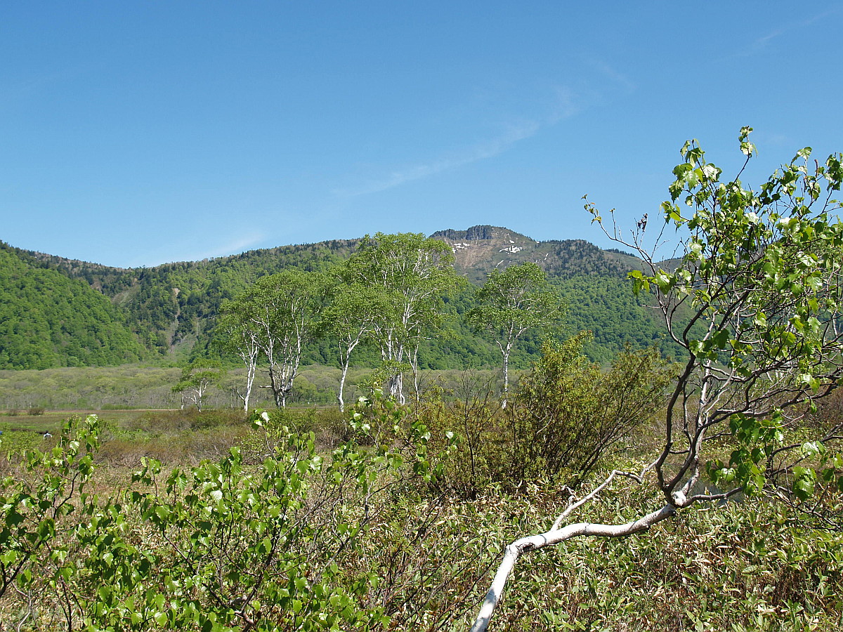 中田代から景鶴山