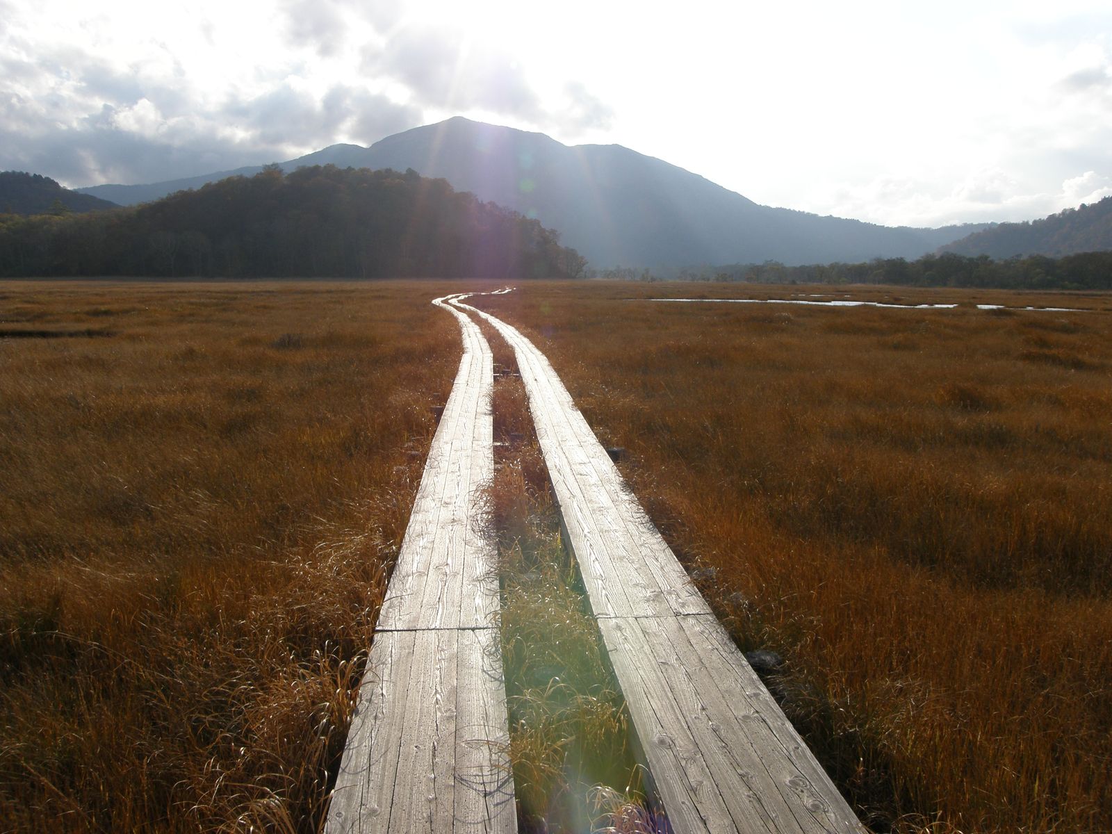 尾瀬ケ原(中田代から晩秋の牛首と至仏山