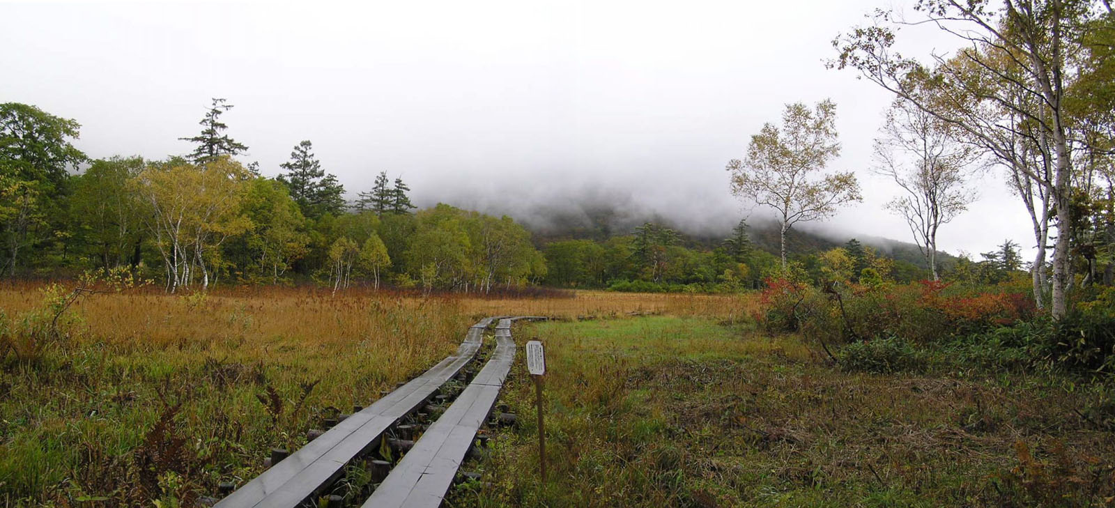 尾瀬ケ原への入り口 