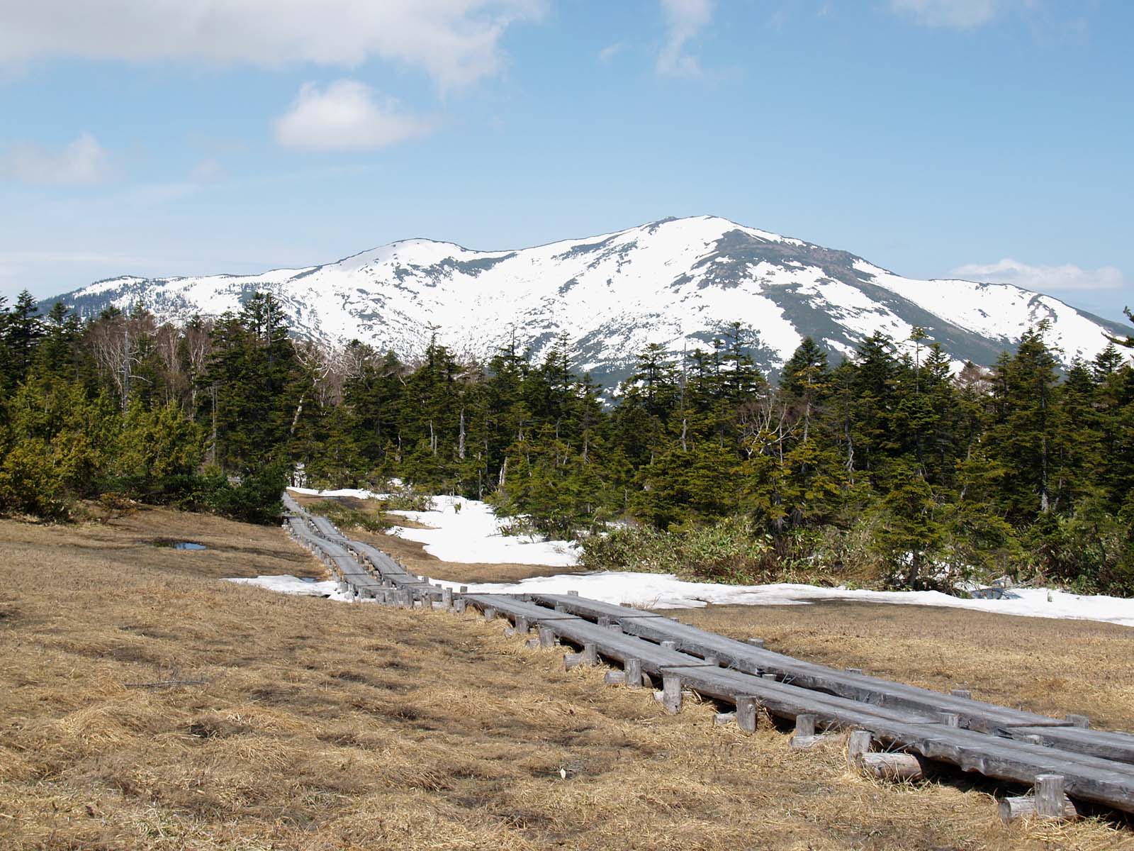 横田代から至仏山　