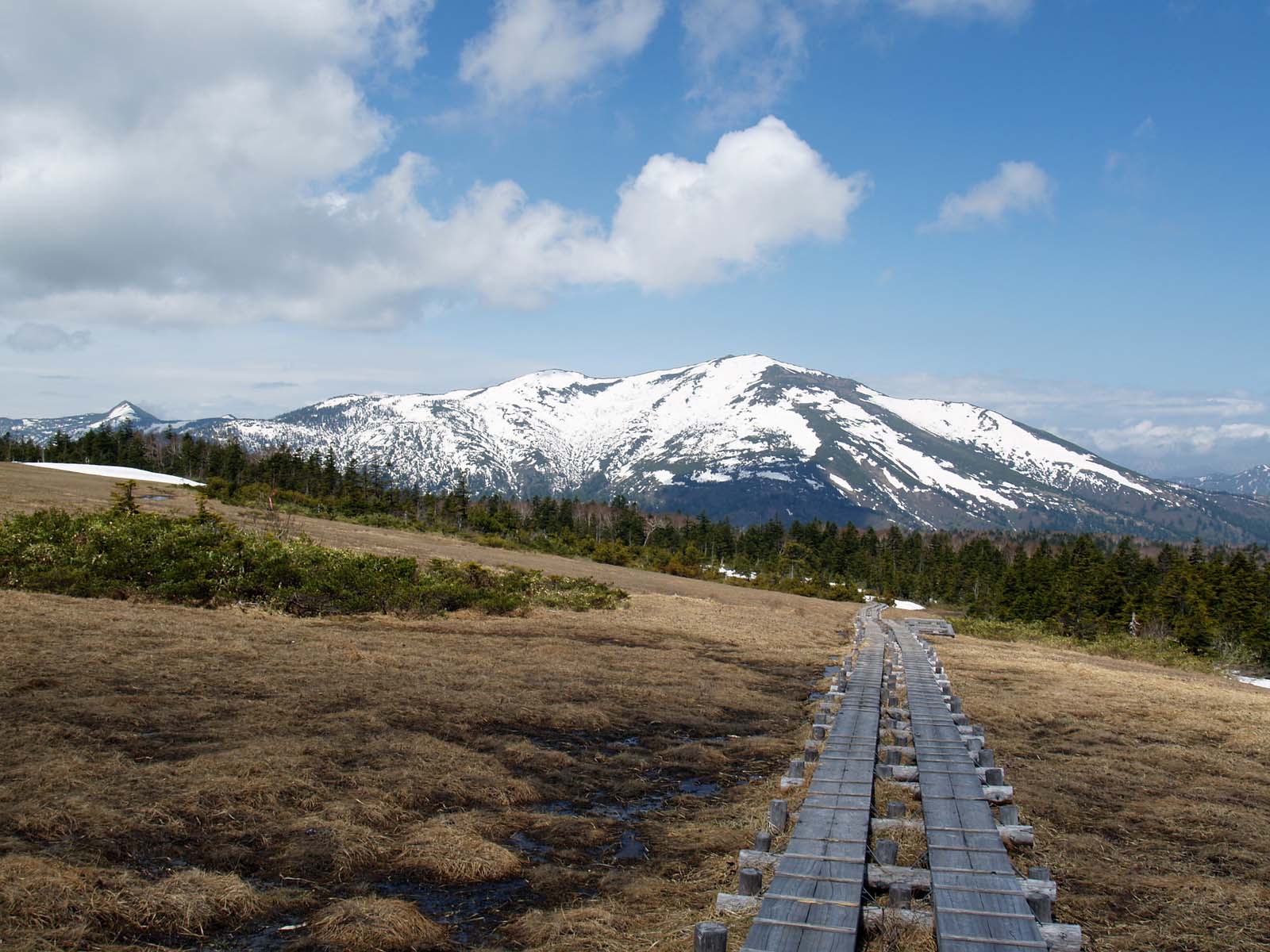 横田代から至仏山　