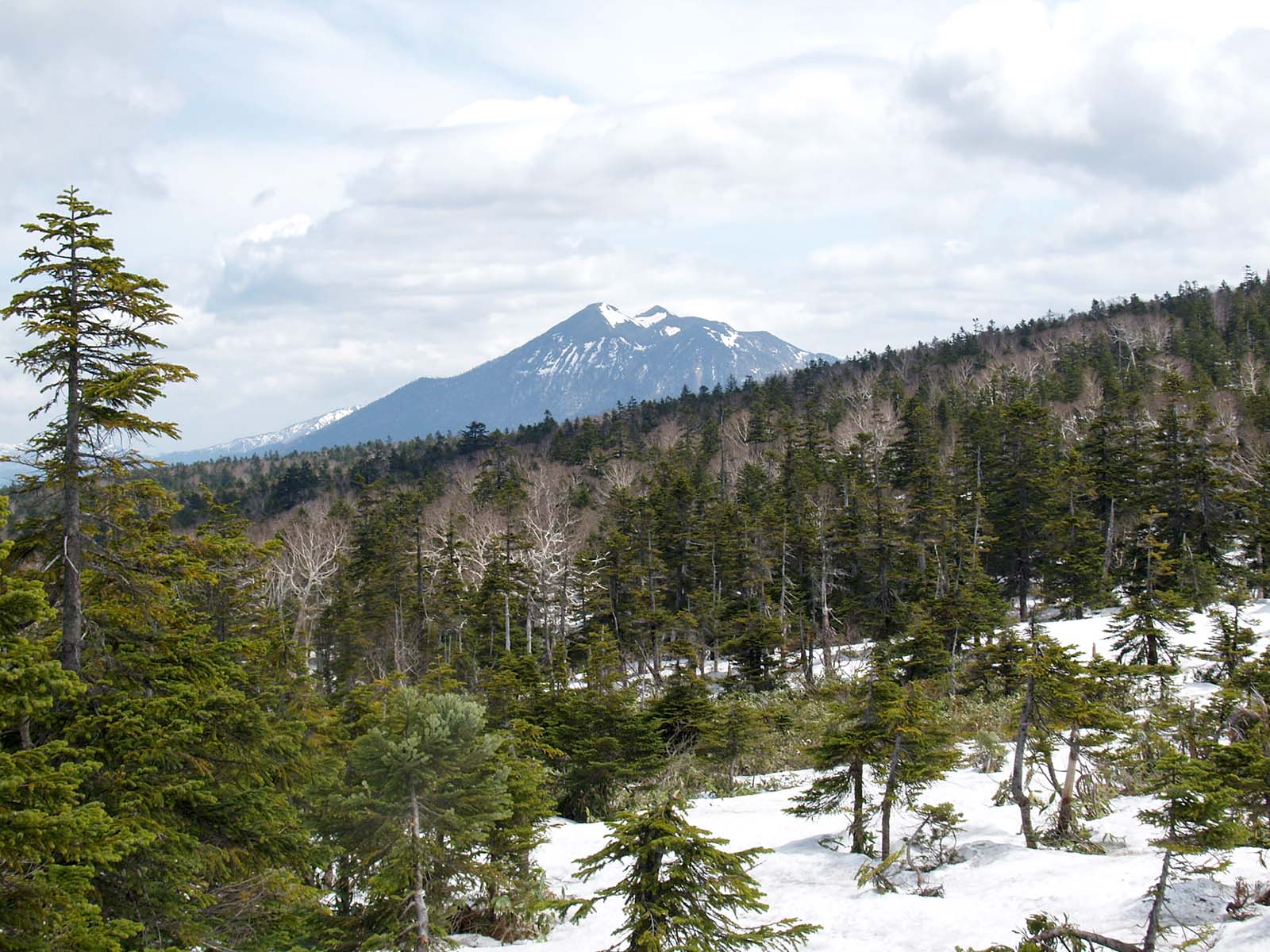 横田代から至仏山　