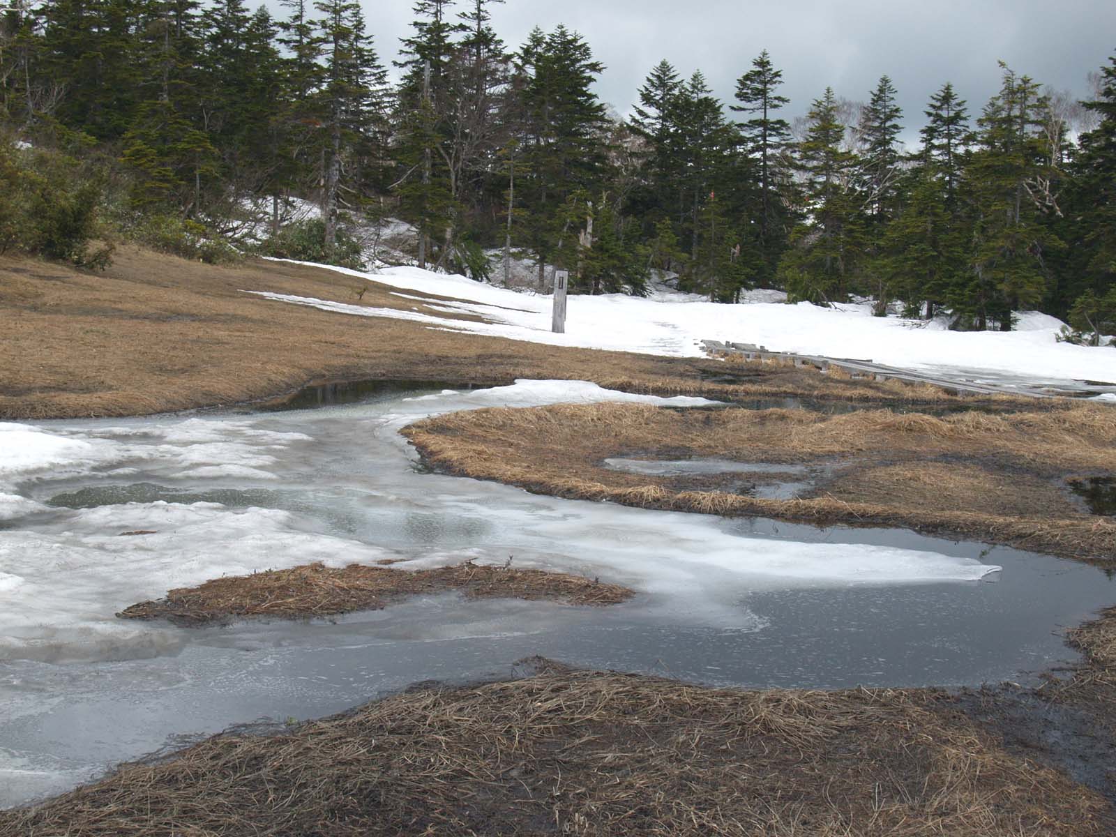 横田代から至仏山　