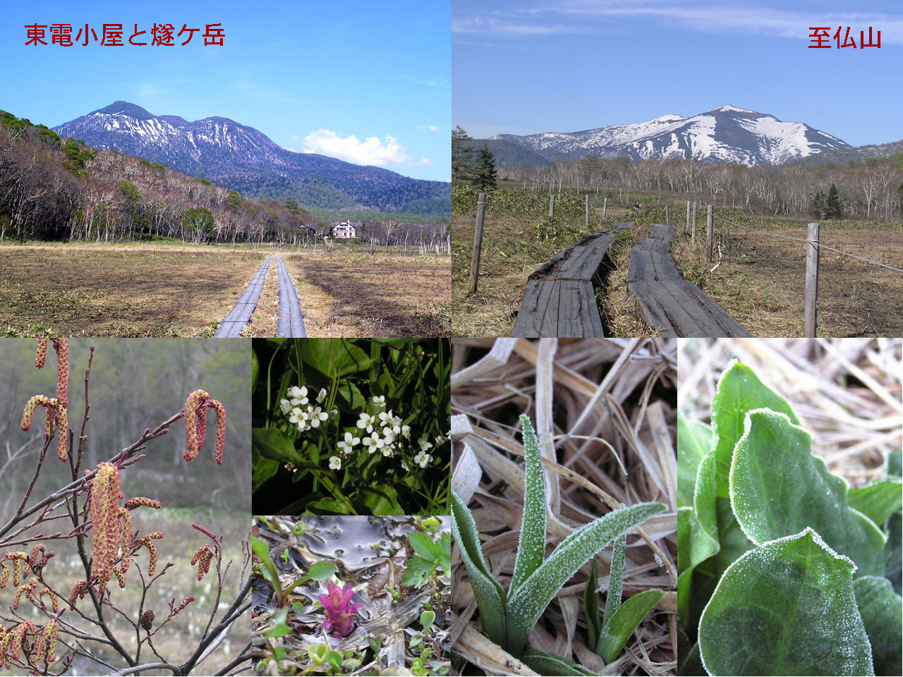 東電小屋周辺の小景 